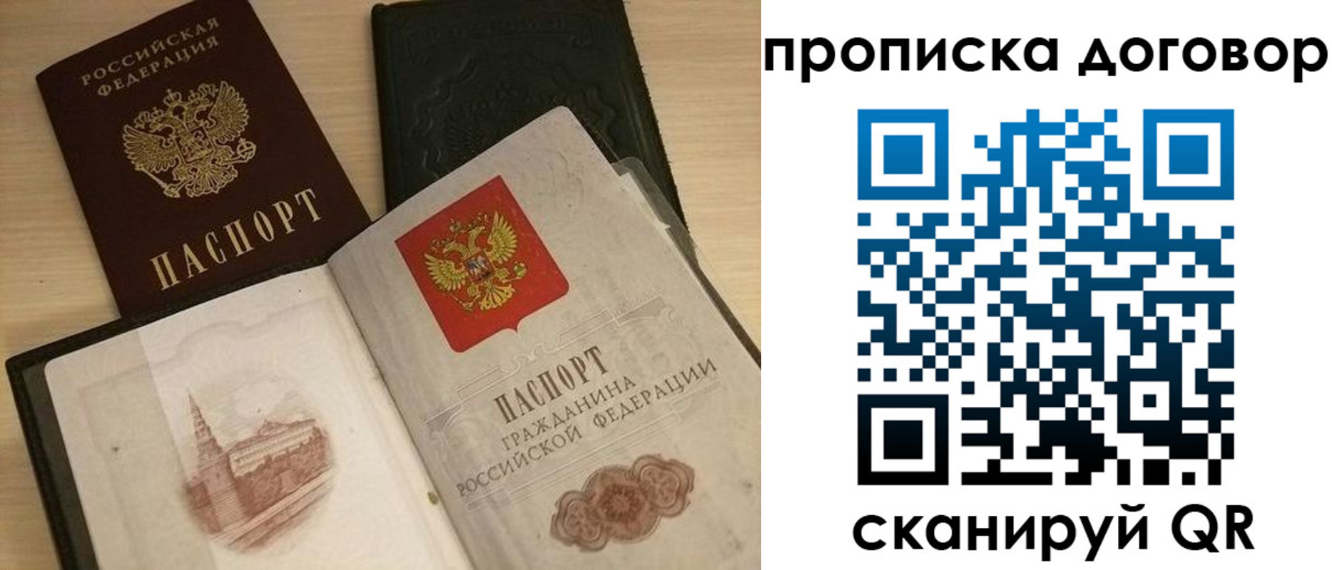 прописка поиск в Александровске